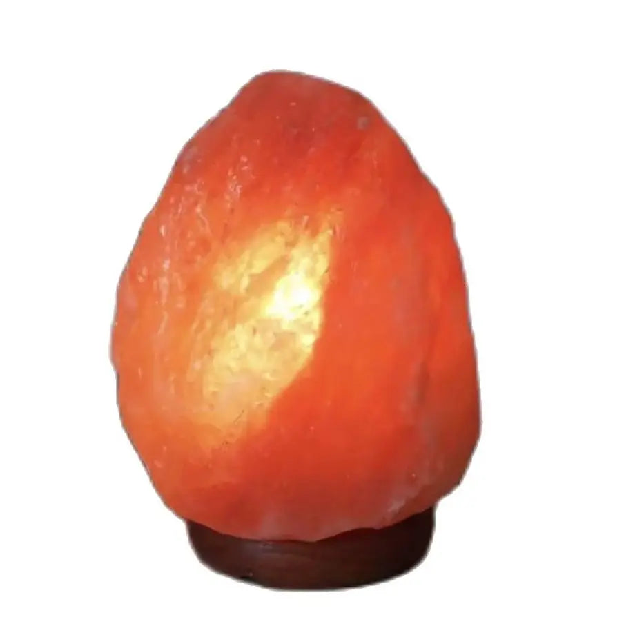 Lampe Sel de l’Himalaya 1,5kg – Base Bois & Ampoule