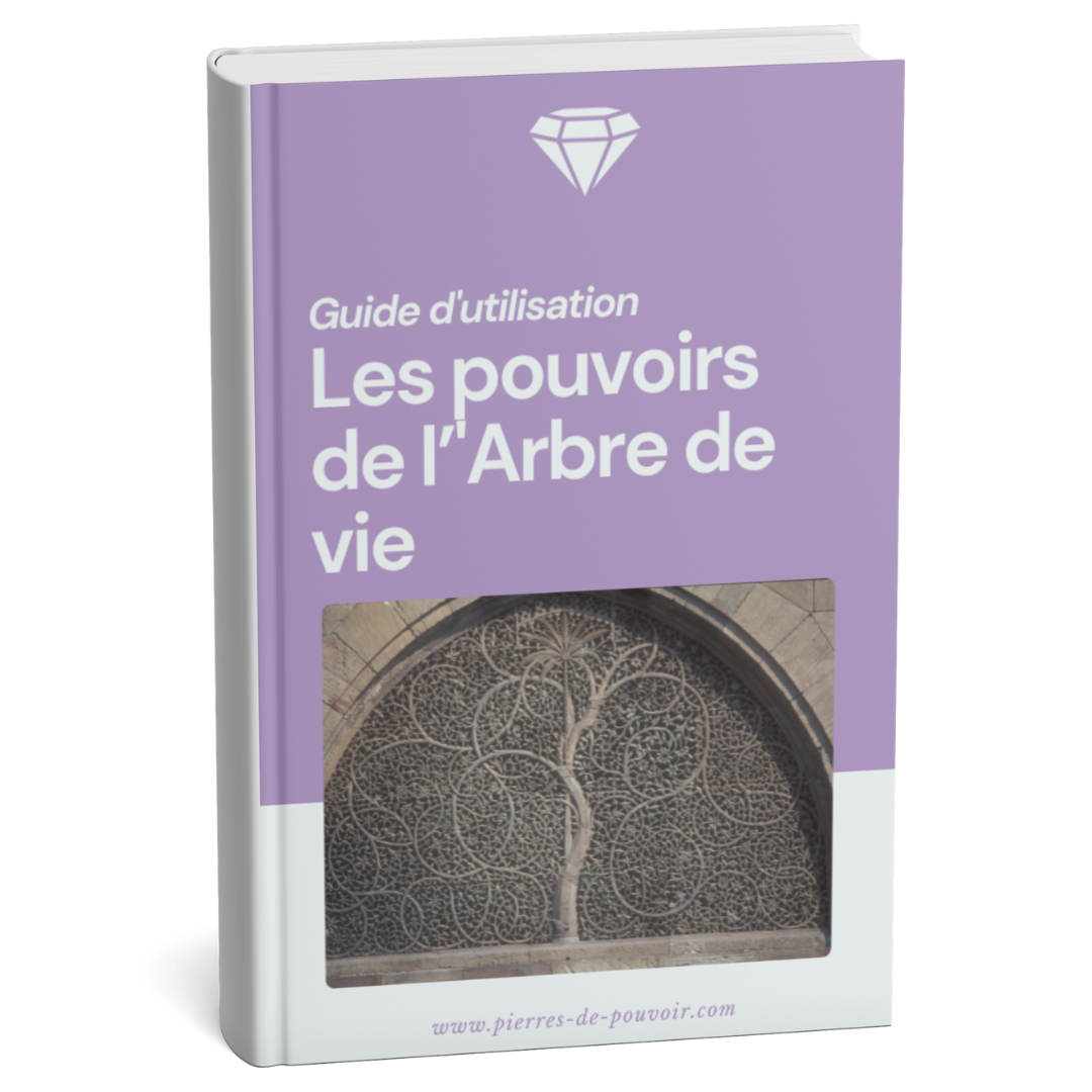 Guide d'utilisation : Les pouvoirs de l'Arbre de vie
