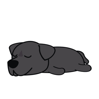 Lot de 50 Pierres Howlite Blanches 8 mm – Qualité & Bijoux