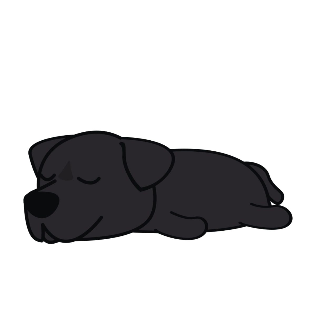 Lot de 50 Pierres Howlite Blanches 8 mm – Qualité & Bijoux