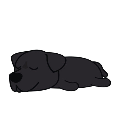 Lot de 50 Pierres Howlite Blanches 8 mm – Qualité & Bijoux