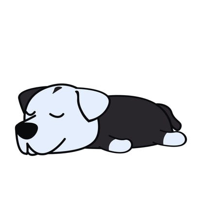 Lot de 50 Pierres Howlite Blanches 8 mm – Qualité & Bijoux