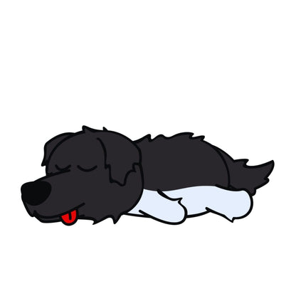 Lot de 50 Pierres Howlite Blanches 8 mm – Qualité & Bijoux