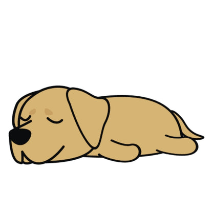 Lot de 50 Pierres Howlite Blanches 8 mm – Qualité & Bijoux