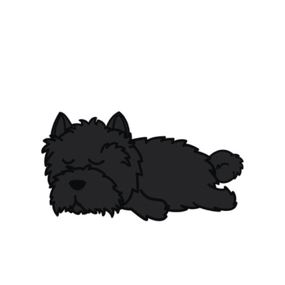 Lot de 50 Pierres Howlite Blanches 8 mm – Qualité & Bijoux