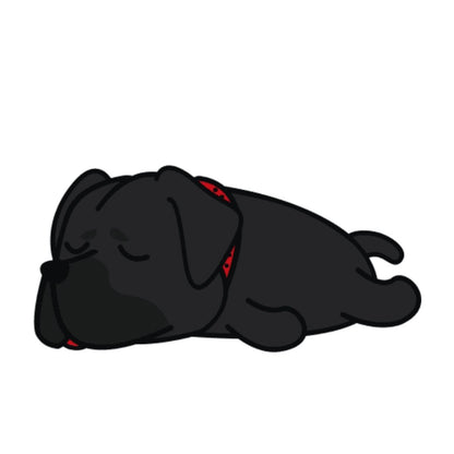 Lot de 50 Pierres Howlite Blanches 8 mm – Qualité & Bijoux