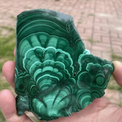 Tranche de Pierre Malachite Polie – Collection & Jardin