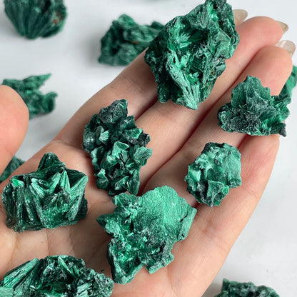 Spécimen Pierre Malachite Velours (100g) – Collection Minérale