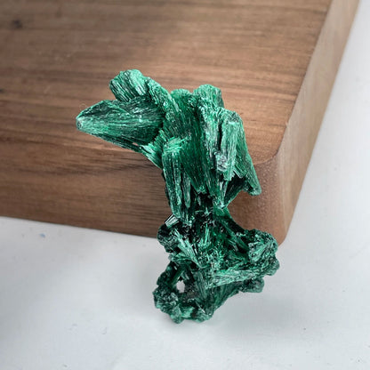 Spécimen Pierre Malachite Velours (100g) – Collection Minérale