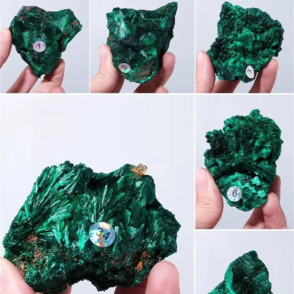 Pierre Malachite Brute de Qualité – Spécimen Minéral