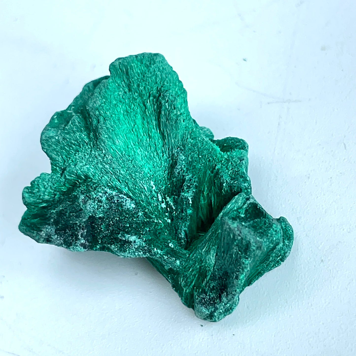 Spécimen Pierre Malachite Velours (100g) – Collection Minérale