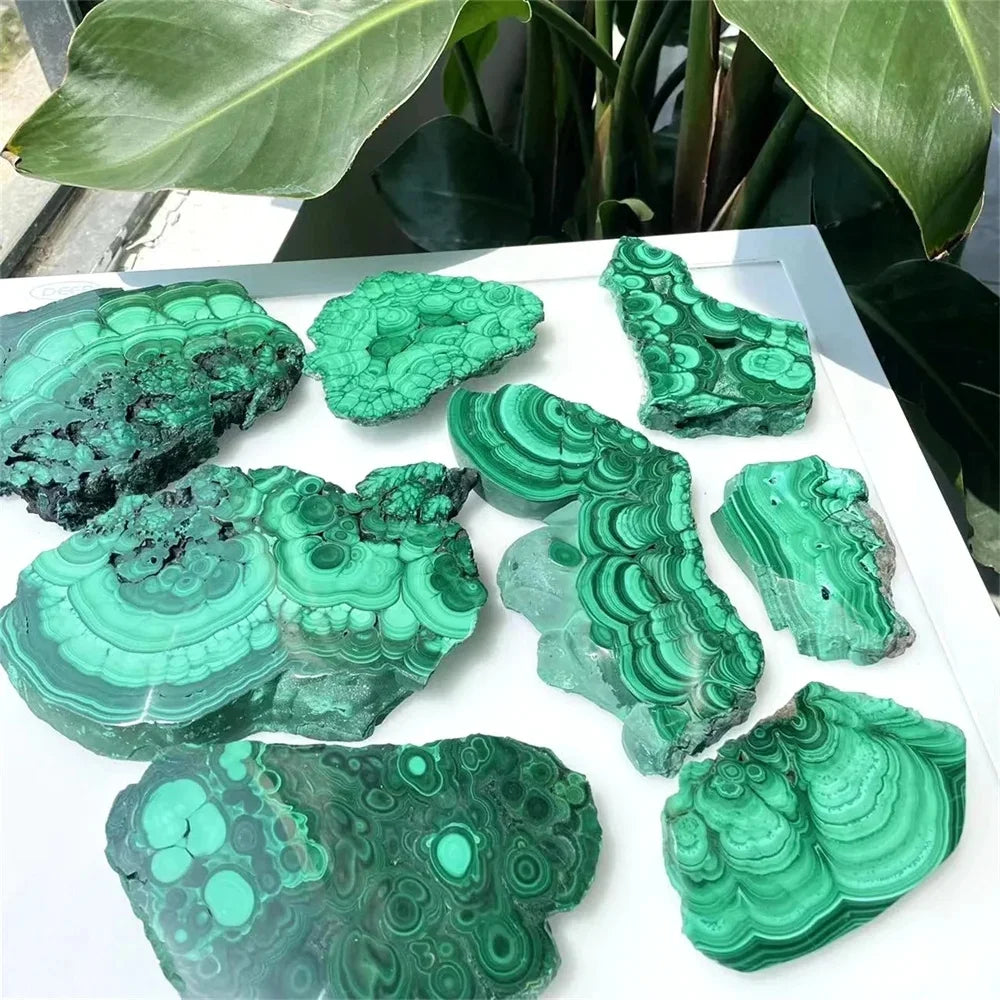 Tranche de Pierre Malachite Polie – Collection & Jardin