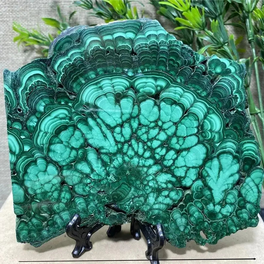 Tranche de Pierre Malachite Polie – Collection & Jardin