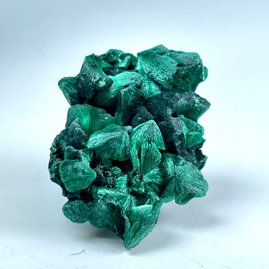 Spécimen Pierre Malachite Velours (100g) – Collection Minérale