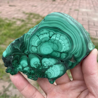 Tranche de Pierre Malachite Polie – Collection & Jardin