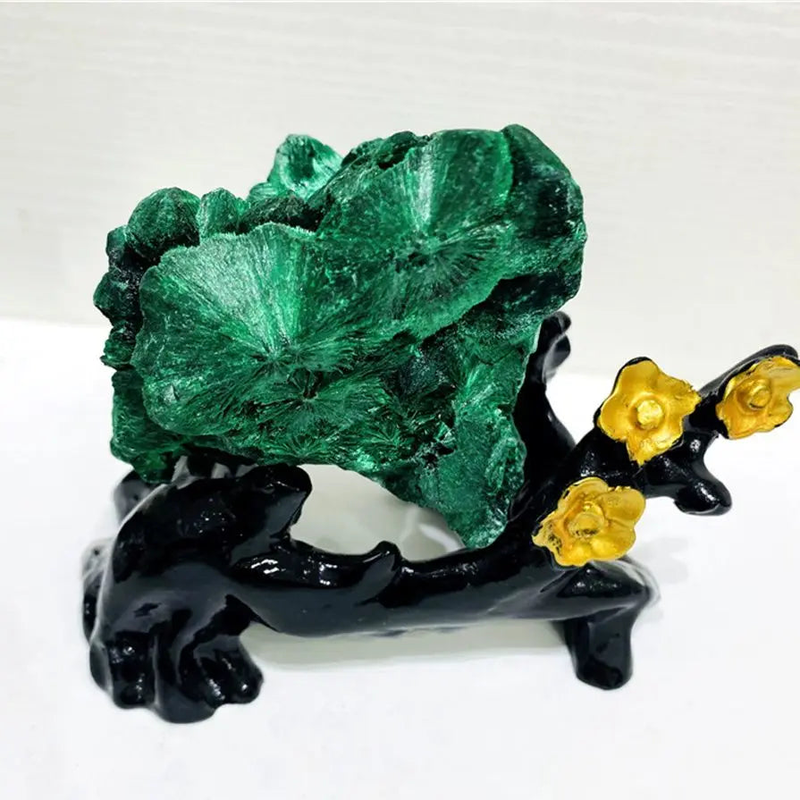 Pierre Malachite Brute de Qualité – Spécimen Minéral