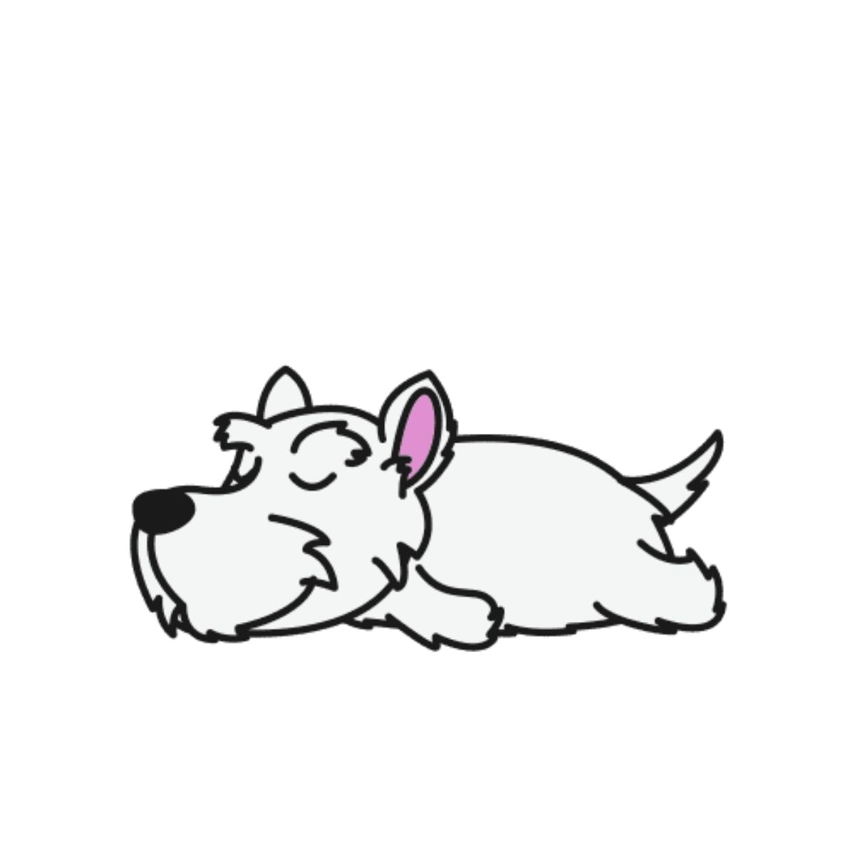 Lot de 50 Pierres Howlite Blanches 8 mm – Qualité & Bijoux