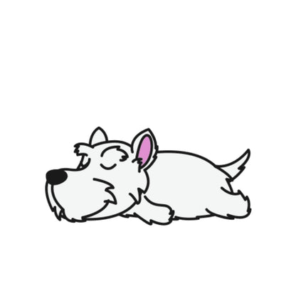 Lot de 50 Pierres Howlite Blanches 8 mm – Qualité & Bijoux