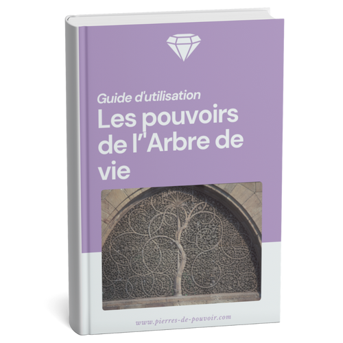 Guide d'utilisation : Les pouvoirs de l'Arbre de vie