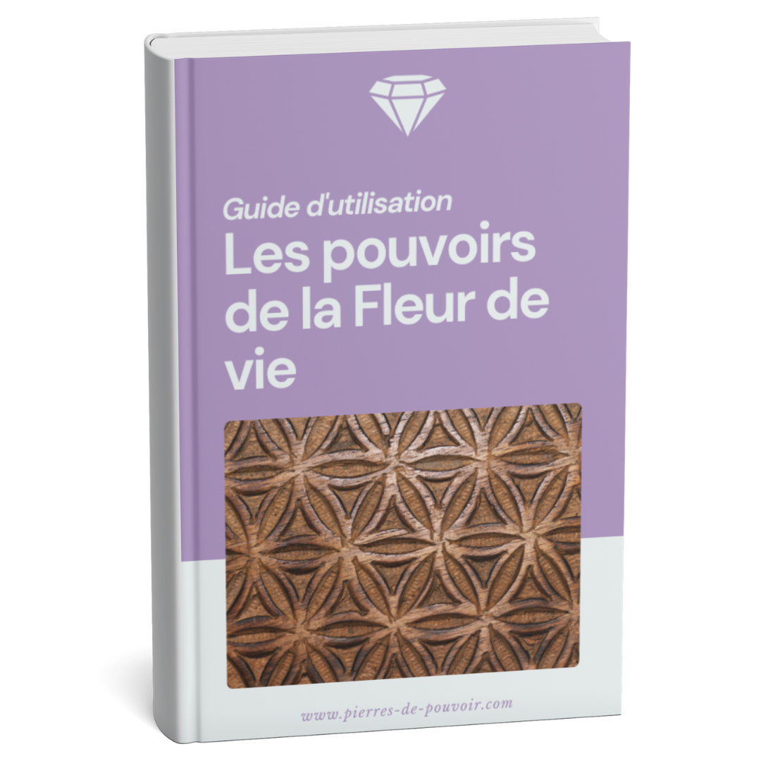Guide d'utilisation : Les pouvoirs de la Fleur de vie