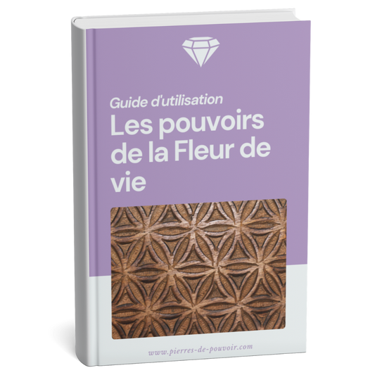 Guide d'utilisation : Les pouvoirs de la Fleur de vie