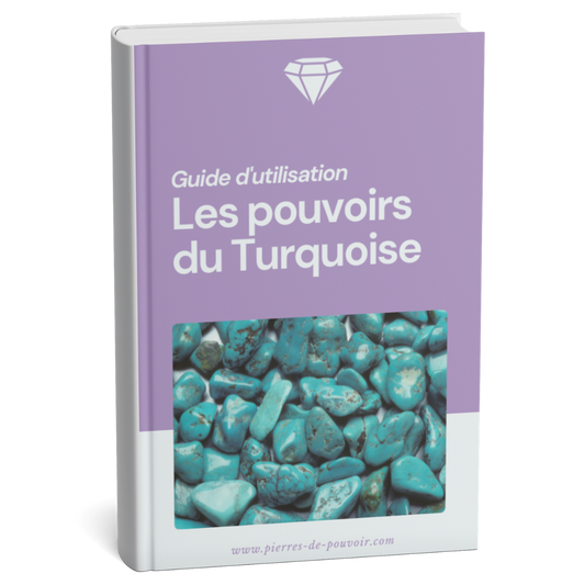Guide d'utilisation : Les pouvoirs du Turquoise